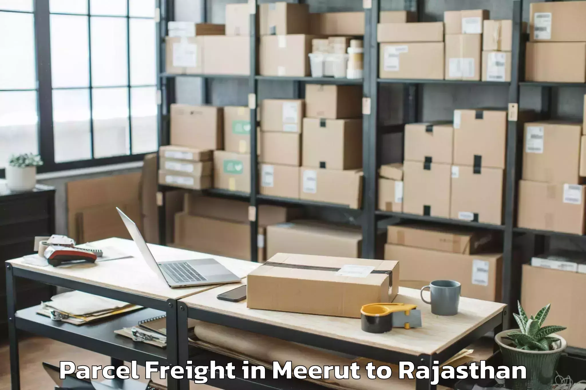 Easy Meerut to Bari Sadri Parcel Freight Booking